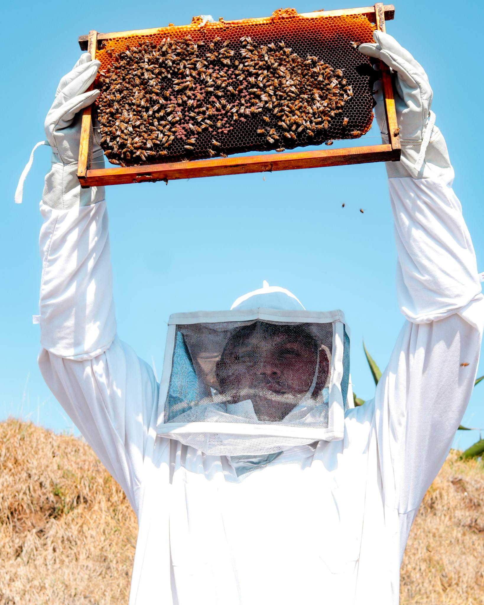 A beekeeper in protective gear inspects a honeycomb filled with bees, set against a clear sky.