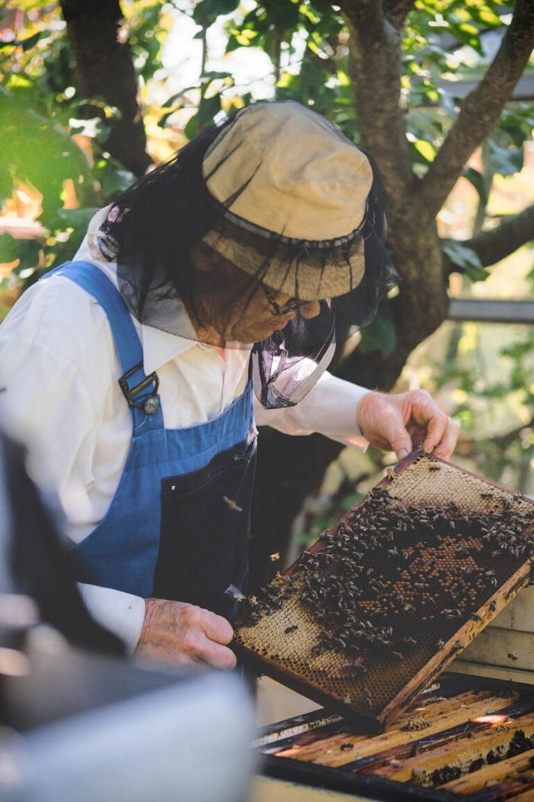 Beekeeper holding a honeycomb filled with bees in a sunlit garden.